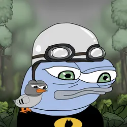 6272
