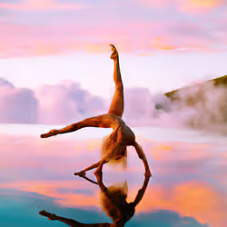 项目媒体占位符