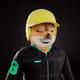 521