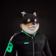 2054