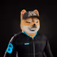 860