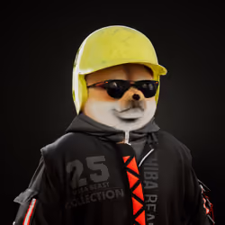 SHIBABEAST #1197