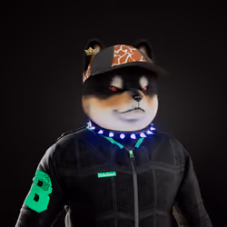 SHIBABEAST #794