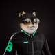 663