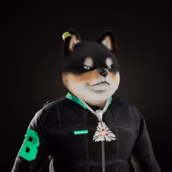 SHIBABEAST #247