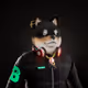 2025