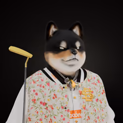 SHIBABEAST #1273