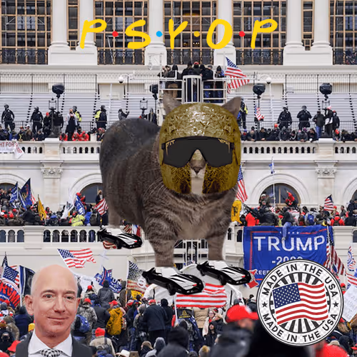 Psyopussy