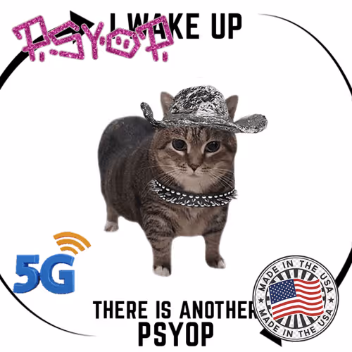 Psyopussy