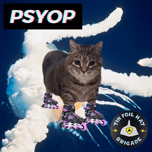 Psyopussy