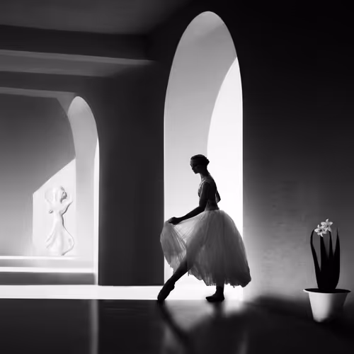 The Soul Of Ballet