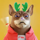 4259