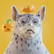 3147
