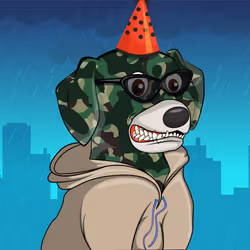 23