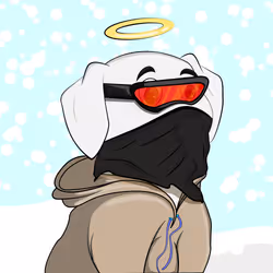 52