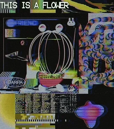 O R C H I D T I M E