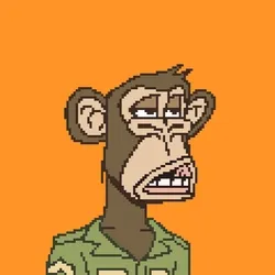 Killa Apes #775
