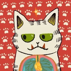 Meow Meow #3806