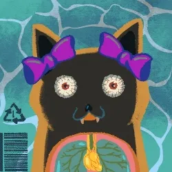 Meow Meow #2433