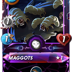 Maggots