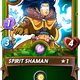 Spirit Shaman