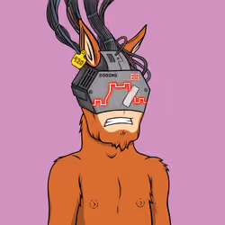 Degen Donkey #30