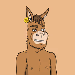 Degen Donkey #94