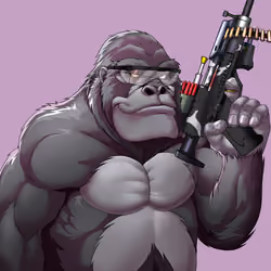 66