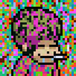 1263