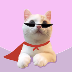The Cat On Chain #3201