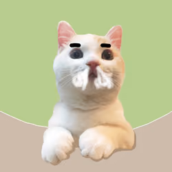The Cat On Chain #1352