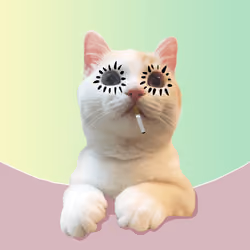 The Cat On Chain #1351