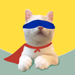 The Cat On Chain #1735