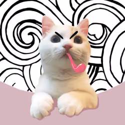 The Cat On Chain #1511