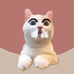 The Cat On Chain #2548
