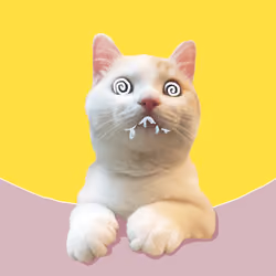 The Cat On Chain #1682