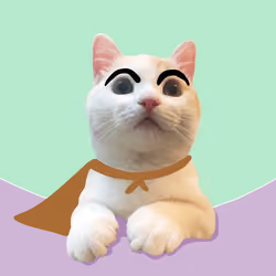 The Cat On Chain #1732