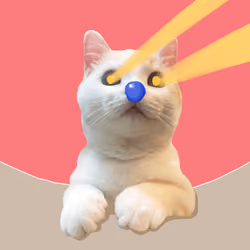 The Cat On Chain #2550