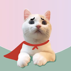 The Cat On Chain #2554