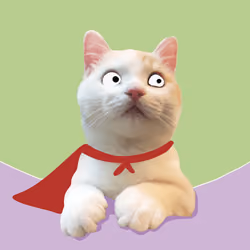 The Cat On Chain #2556