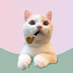 The Cat On Chain #2555