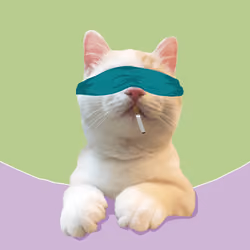 The Cat On Chain #1348
