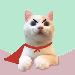 The Cat On Chain #2549
