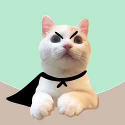 The Cat On Chain #1683