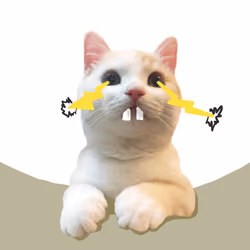 The Cat On Chain #1349