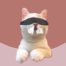 The Cat On Chain #1510