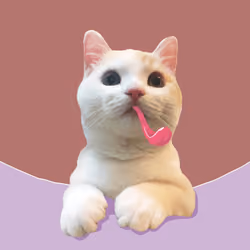 The Cat On Chain #1734