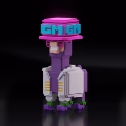 ALPACADABRA 3D #19503