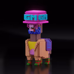 ALPACADABRA 3D #14034