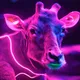 NeonWild